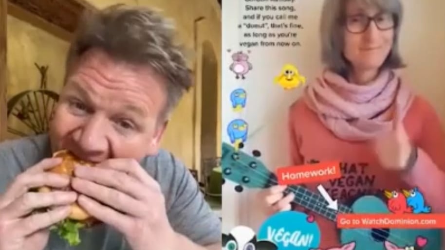 "Mangiare gli animali è sbagliato". Gordon Ramsay zittisce la vegana così