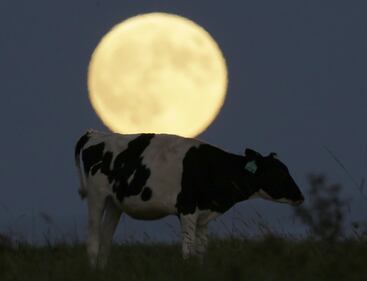 Una notte di luna rossa: ecco l'eclissi nel mondo 8