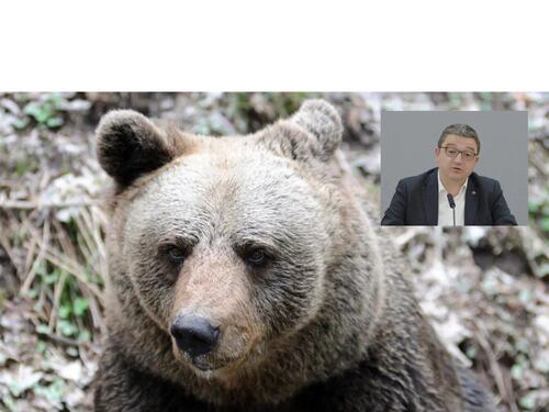 Fugatti indagato per la morte dell’orso M90: "Fu ucciso con crudeltà"