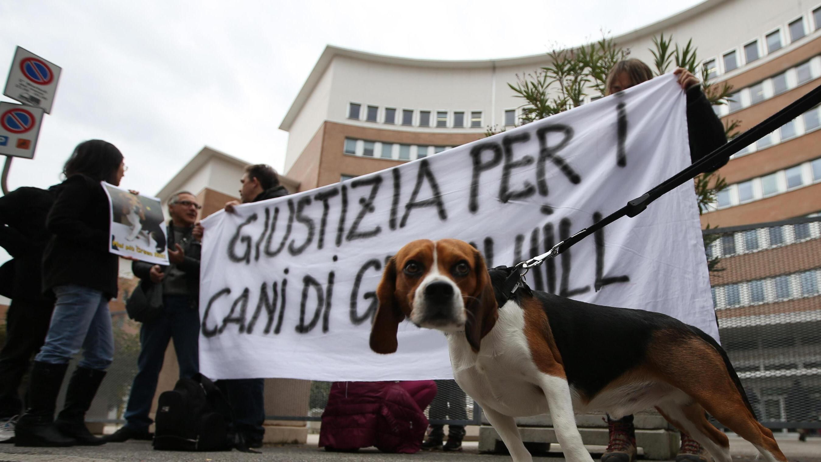Giustizia è fatta per i cani di Green Hill