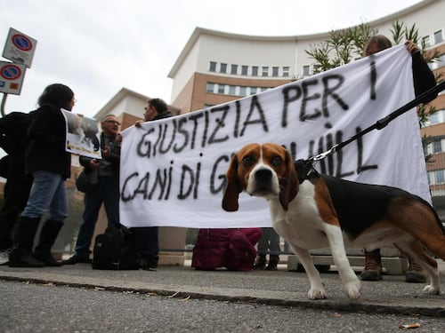 Giustizia è fatta per i cani di Green Hill