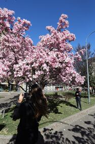 I giardini Renata Tibaldi in fiore a Milano  6