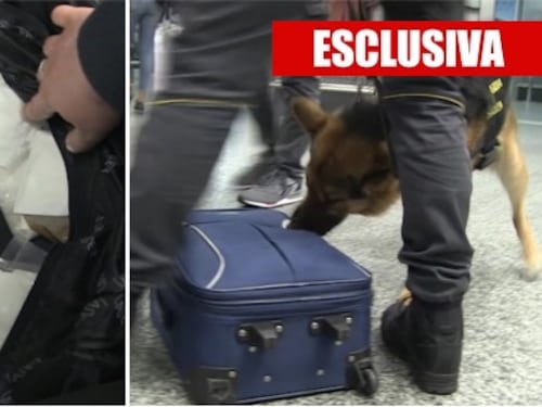 A Malpensa col "metodo Escobar": così le droghe invadono l'Italia