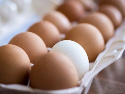 Ritirate uova dal supermercato: come capire se sono quelle che hai acquistato