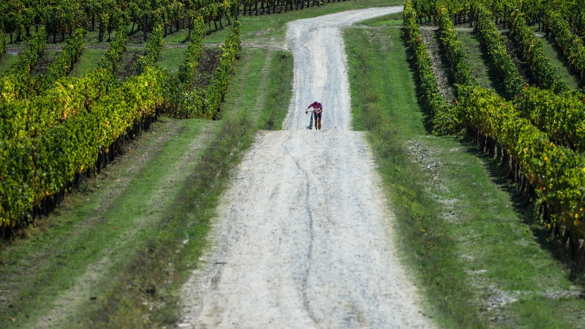 L'asfalto sta facendo nere le strade bianche del Chianti