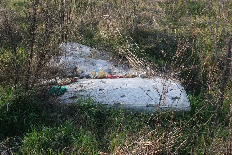Ippodromo di Tor di Valle: dalle corse al degrado 12