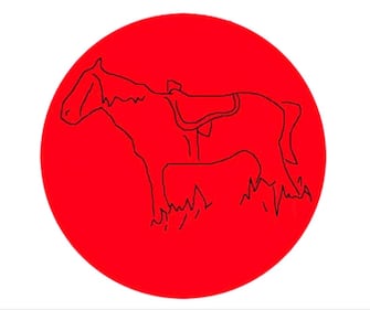 Cosa nasconde il cerchio rosso? 3