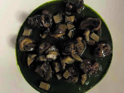 Funghi, magia dell’autunno. E non ci sono solo i porcini