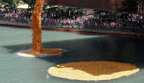 Chicago, un mare di anatre di gomma invadono il fiume 2
