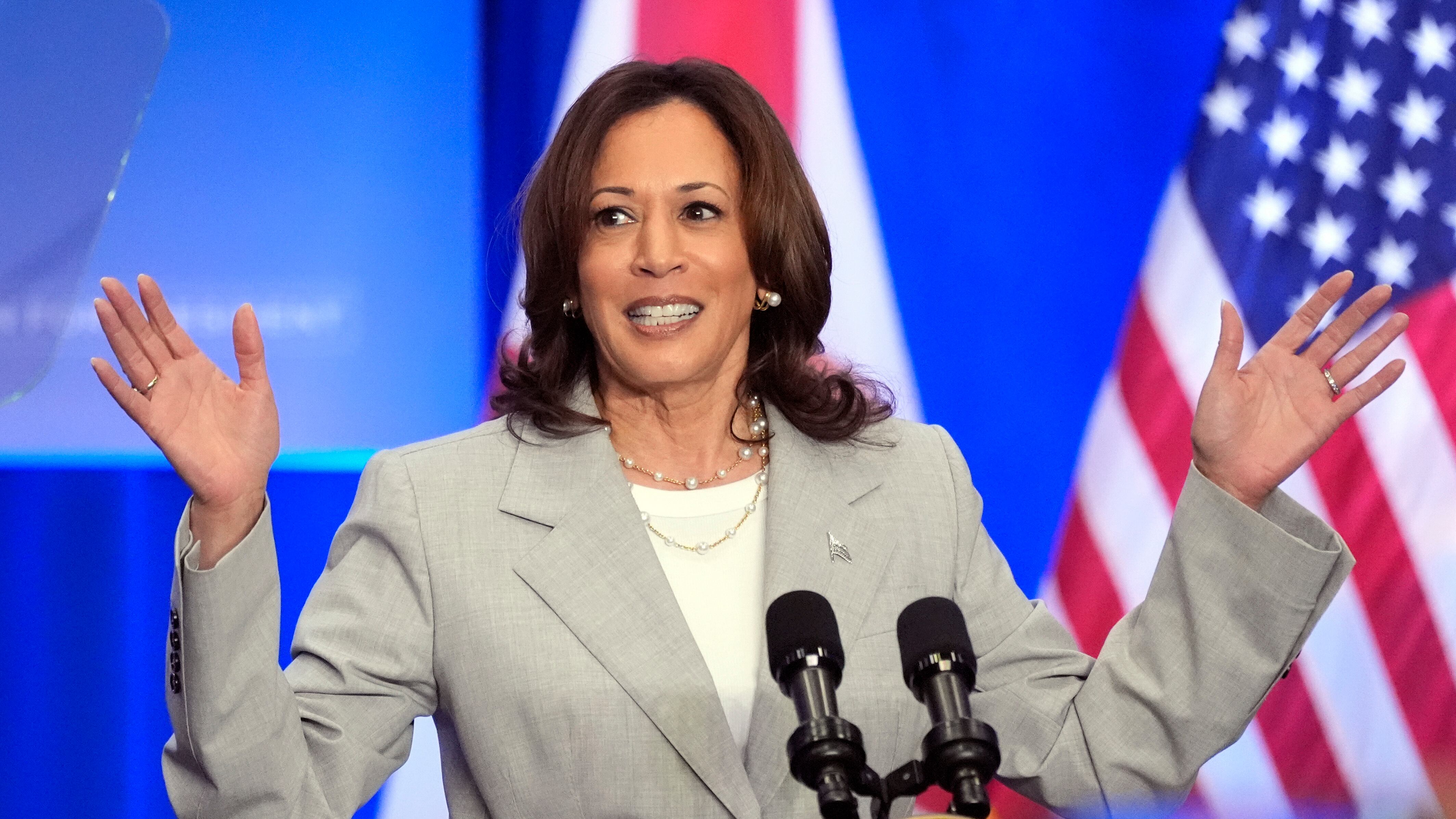 Usa, Kamala Harris ha i voti: è il candidato ufficiale del Partito democratico
