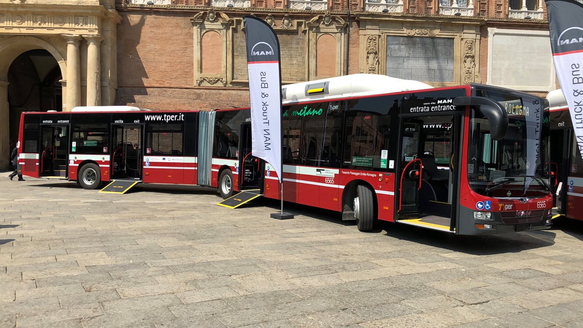 "Dammi un bacio". E lo straniero tenta di stuprare l'autista del bus