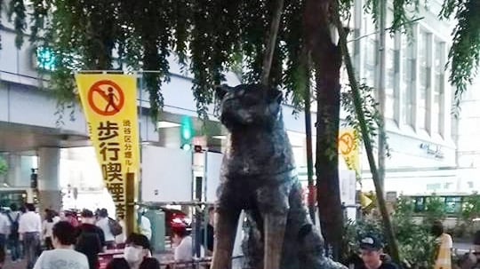 A Tokyo, tutti in fila per un selfie con Hachiko