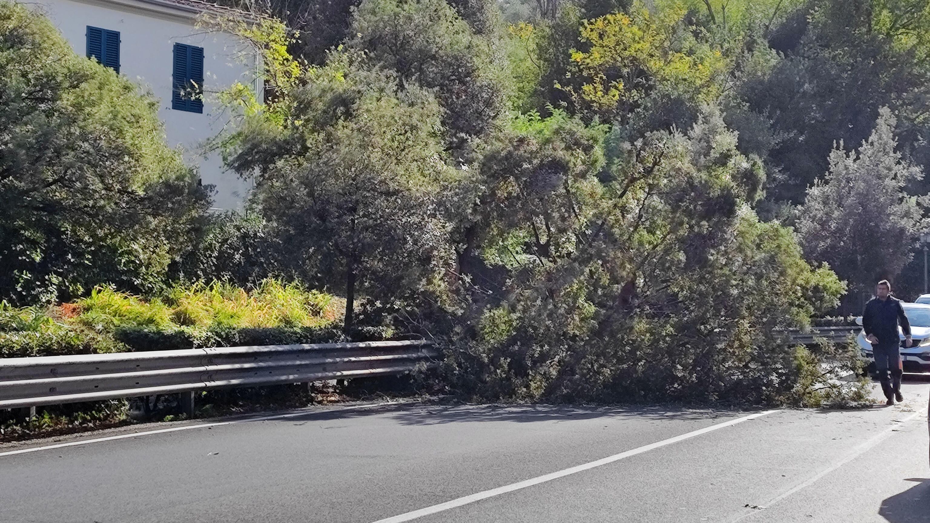 Maltempo in Toscana, tracima il torrente Bagnolo: 170 evacuati a Prato