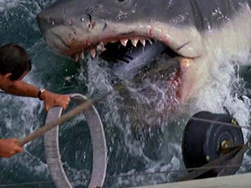 Lo squalo, tutto quello che (forse) non sapete sul film cult di Spielberg