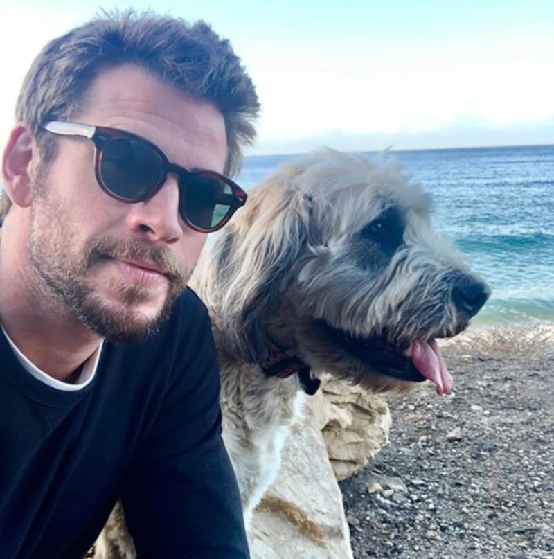 Liam Hemsworth e Miley Cyrus, le foto più belle 2