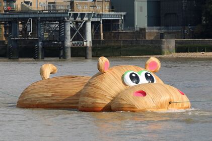 Londra, ippopotamo gigante naviga lungo il Tamigi 9