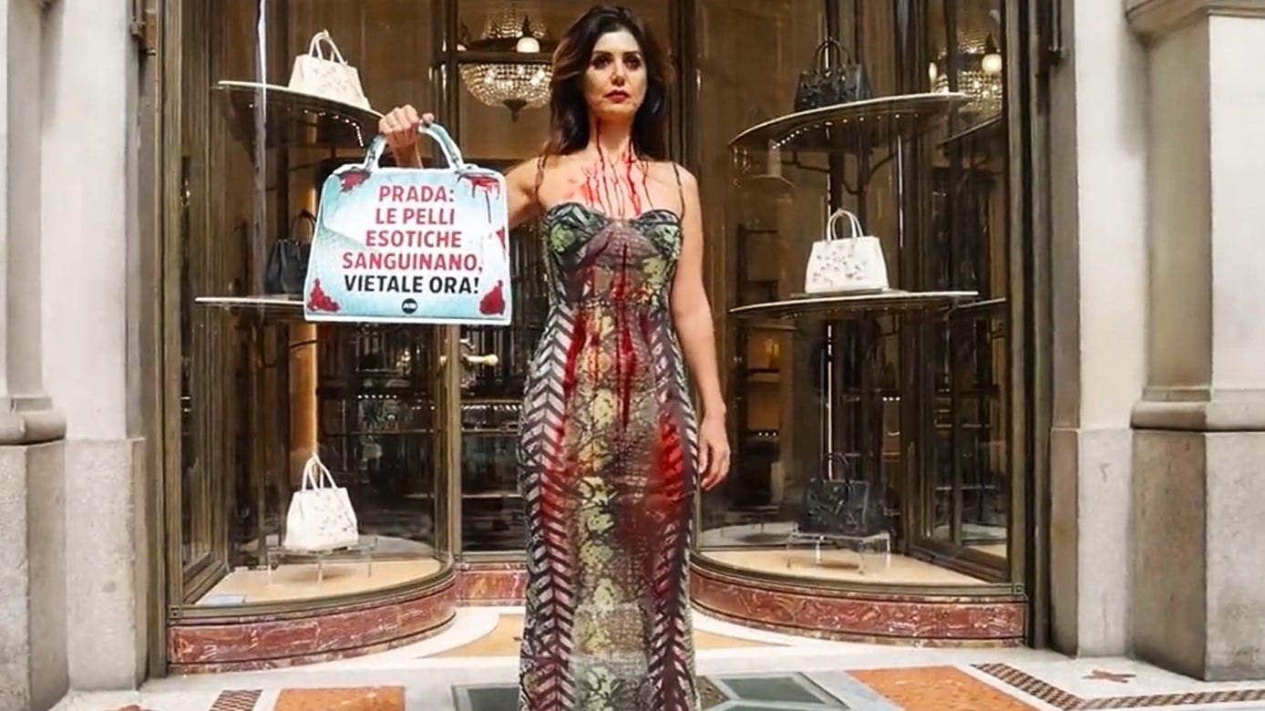 Coperta di sangue davanti alla boutique di Prada, la protesta choc di Daniela Martani