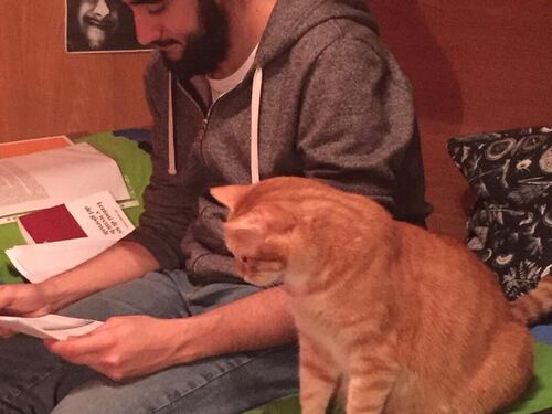 Luca Adami, i funerali del 20enne affogato in un tombino