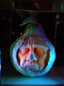 Halloween si avvicina, ecco le zucche intagliate ad arte 8