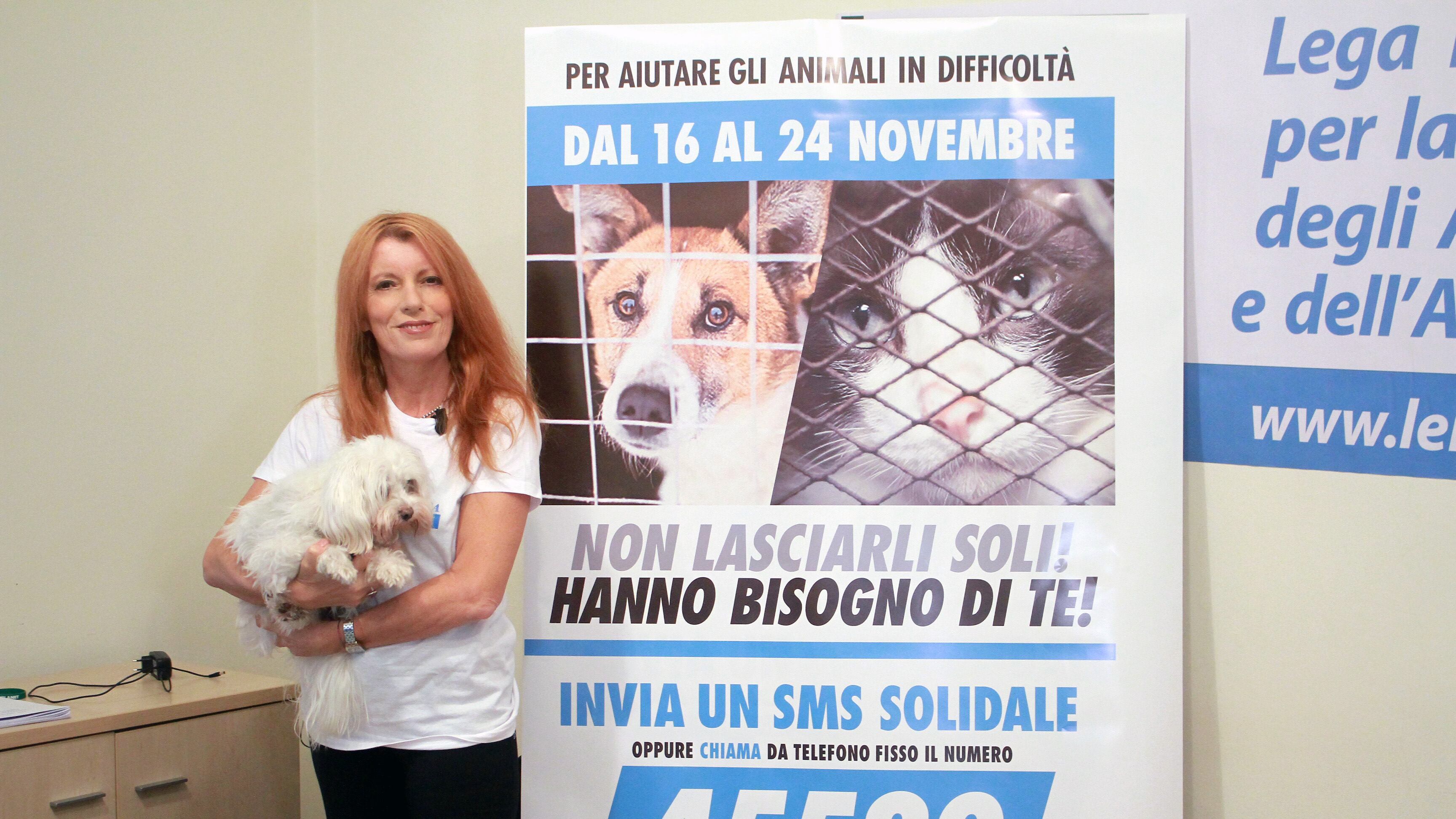 Svolta nella Costituzione: tutela ad ambiente e animali