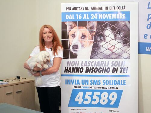 Svolta nella Costituzione: tutela ad ambiente e animali