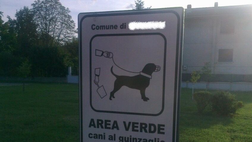 Ferrara, due italiane aggredite da un branco di stranieri spacciatori