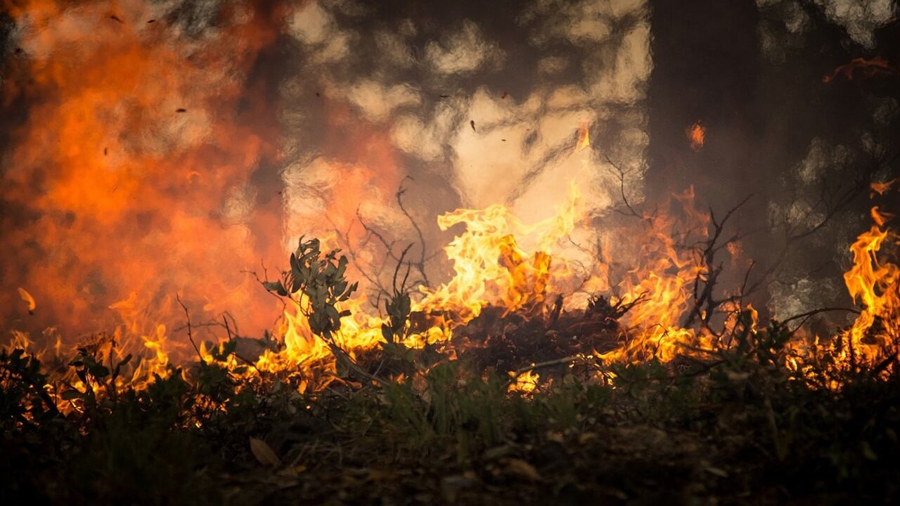 Incendio a Monreale. In fiamme ettari di vegetazione