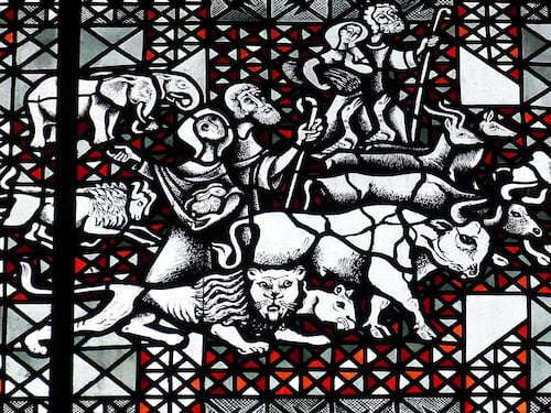 Vascello pirata? No, una scombinata e sorprendente Arca di Noè