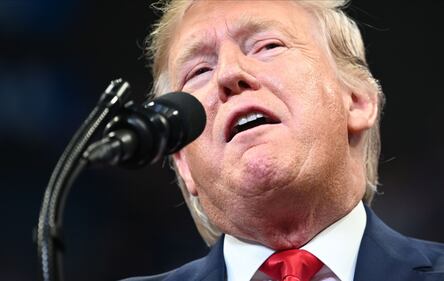 Donald Trump, le immagini più recenti 5