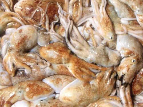 L'Unione Europea vieta di sbiancare i calamari con l’acqua ossigenata