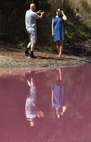 Lago australiano rosa: le foto 10