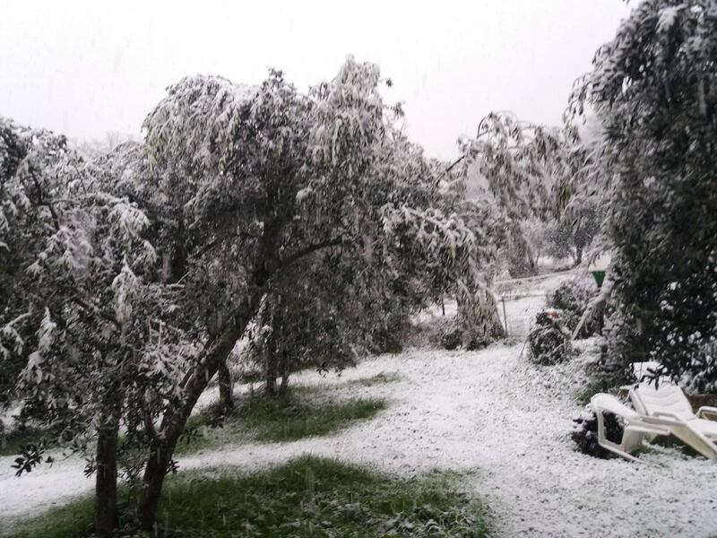 Imbiancate Terni, Perugia e Norcia: l'Umbria sotto la neve 14