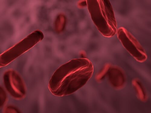 Anemia Mediterranea, in arrivo l’innovativo “farmaco trappola”
