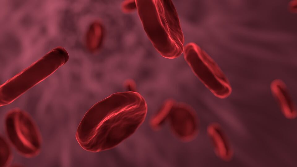 Anemia Mediterranea, in arrivo l’innovativo “farmaco trappola”