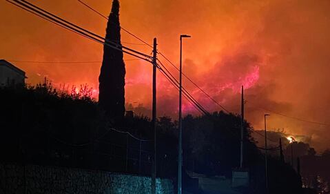 Palermo circondata dal fuoco, chiuso l'aeroporto. I roghi bloccano i soccorsi: muore un'anziana 3