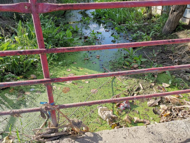 Tra gli affluenti del fiume Sarno a rischio esondazioni 4