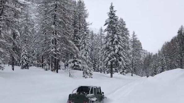 Cortina nel caos: rabbia e ironia sui social