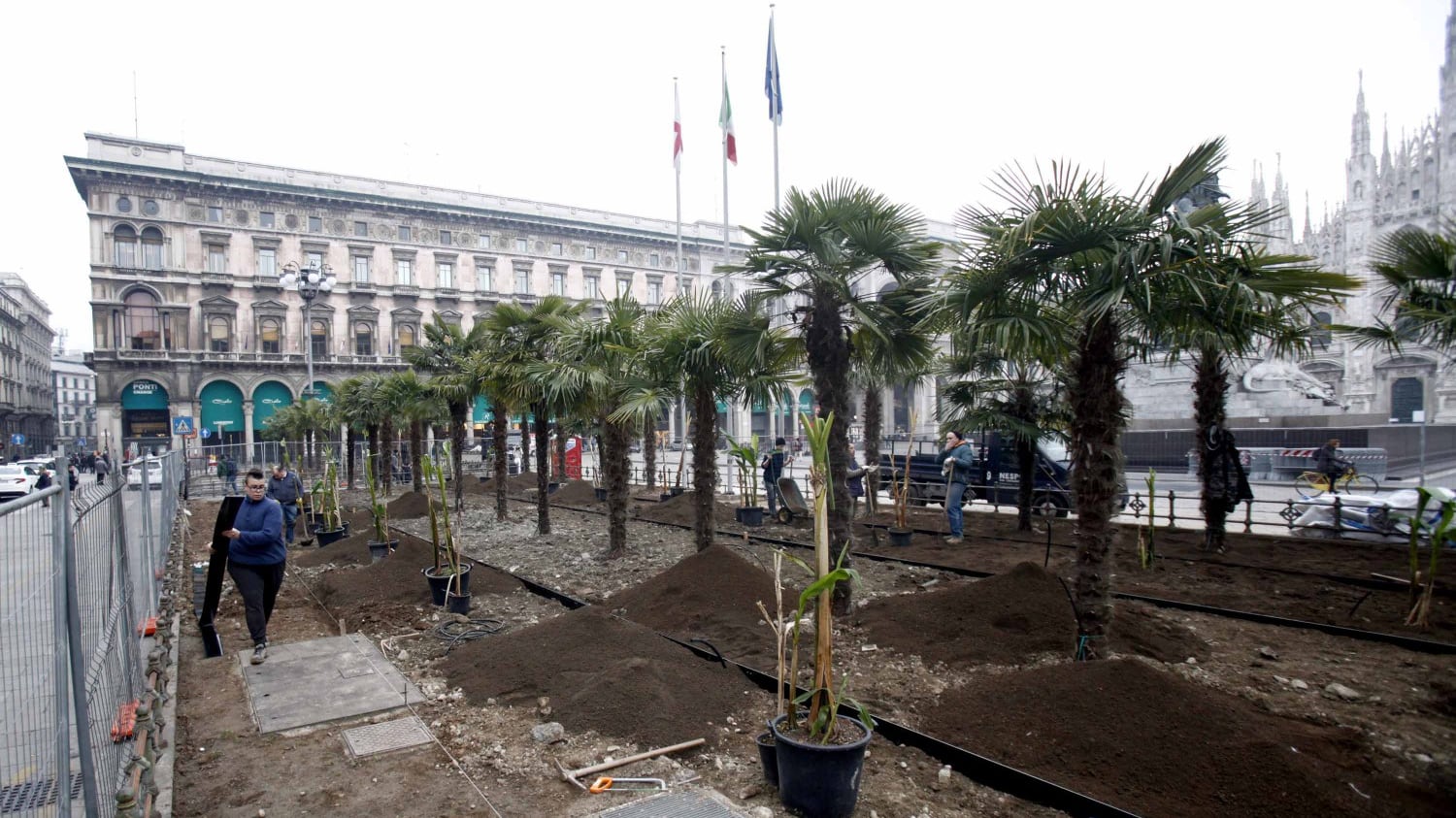 In Duomo dopo le palme spuntano i banani. E il sindaco Sala vuole più profughi in città