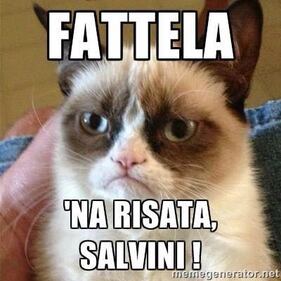 Invasione di gattini sulla bacheca di Salvini 5