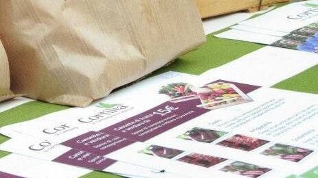 La cascina va su Internet e la cassetta di verdura arriva a casa con un «clic»