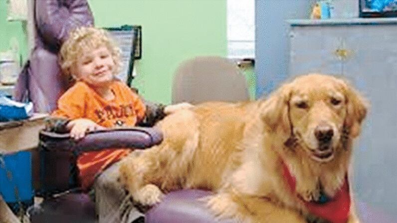 Il cane che cura i bimbi dal terrore del dentista