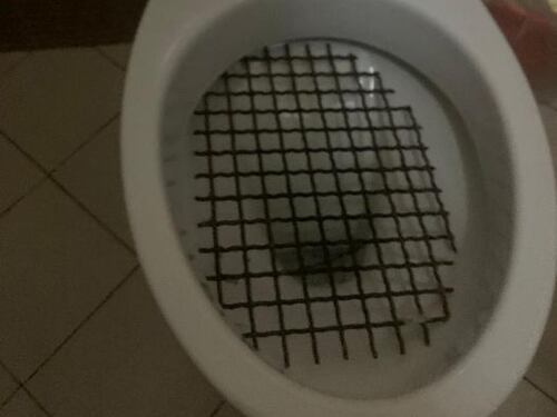 Il giallo dei Wc corazzati: a cosa servono?