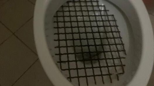 Il giallo dei Wc corazzati: a cosa servono?