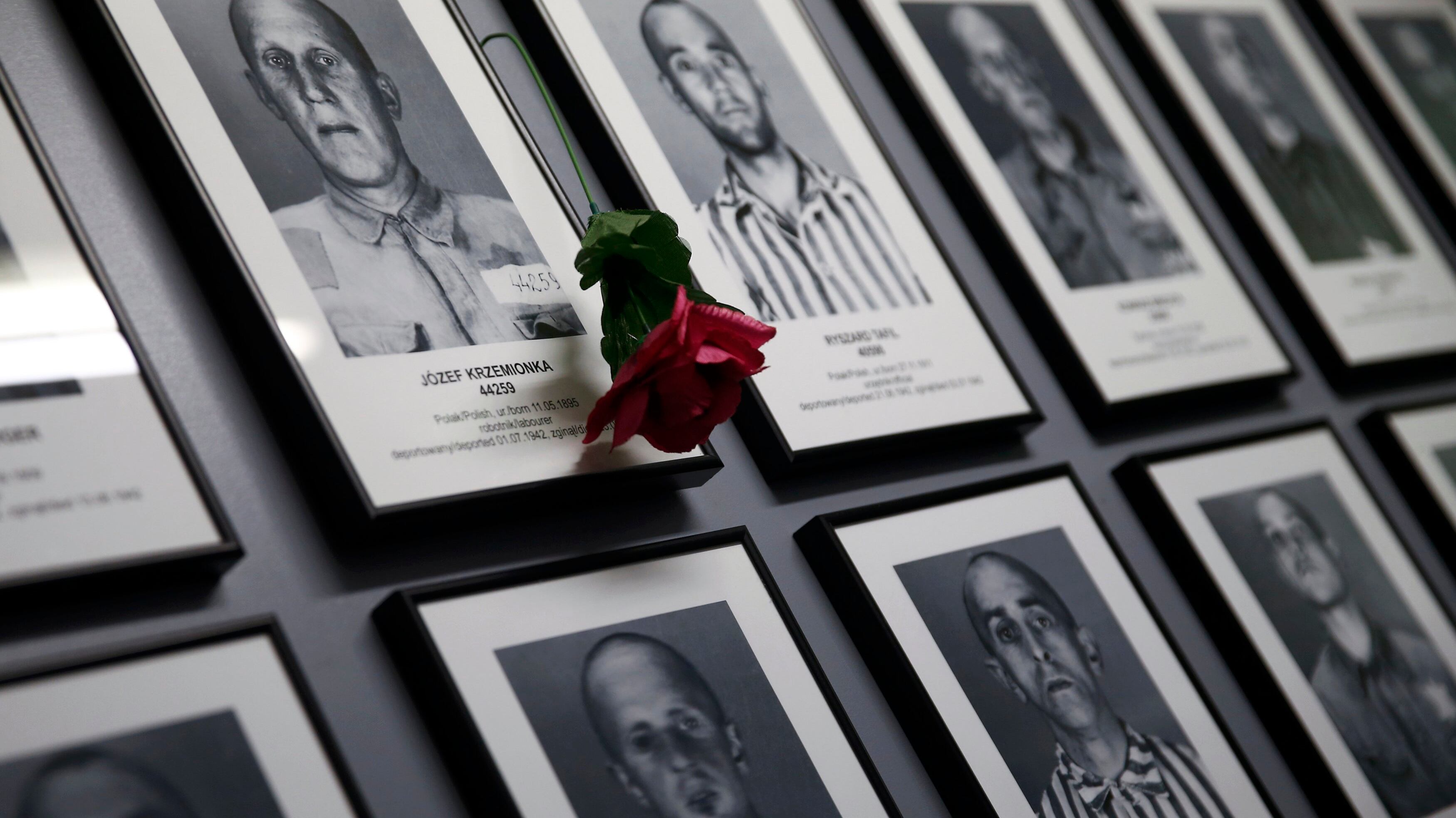 Giornata della memoria, Mattarella: "Auschwitz ci fa guardare dentro l'abisso"
