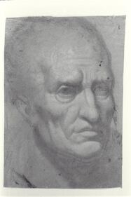 I presunti disegni di Michelangelo 7