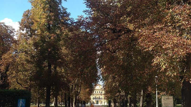 Parma, rapina con coltello per comprare droga: presi 17enni magrebini
