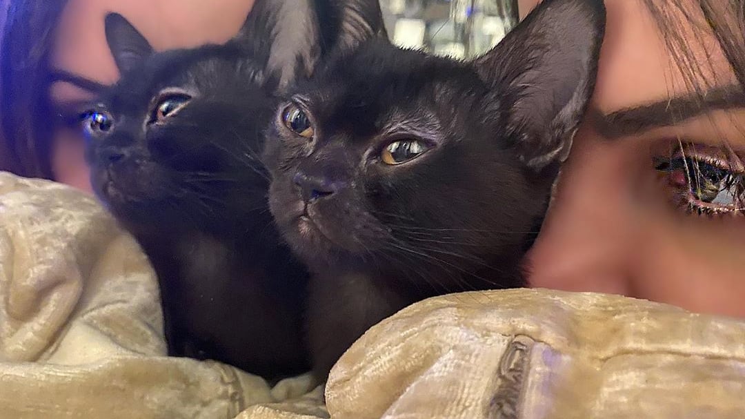 Nina Moric va dal veterinario. Ma dimentica il gatto