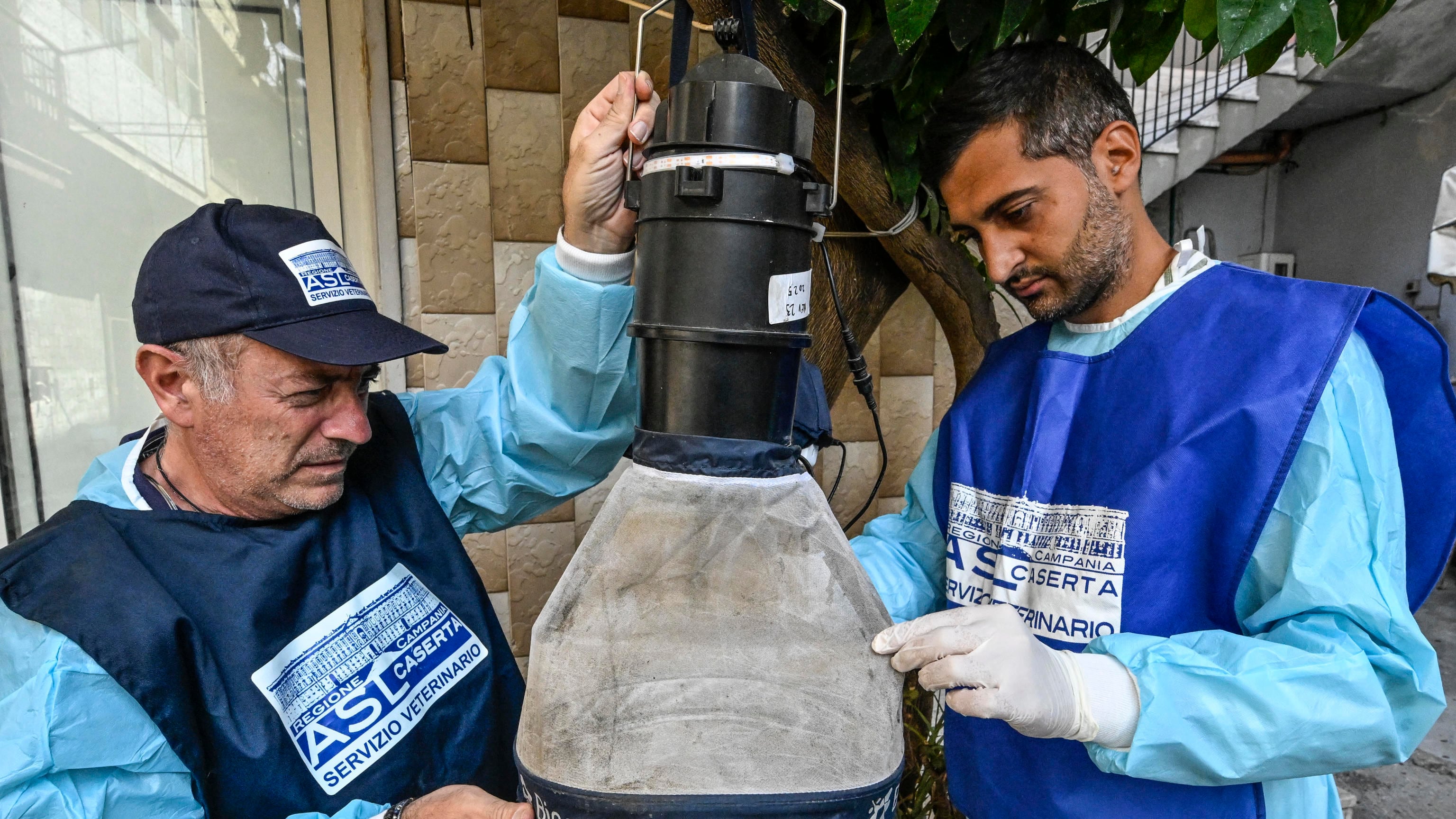 West Nile, i morti sono sette. E c'è il primo caso a Milano