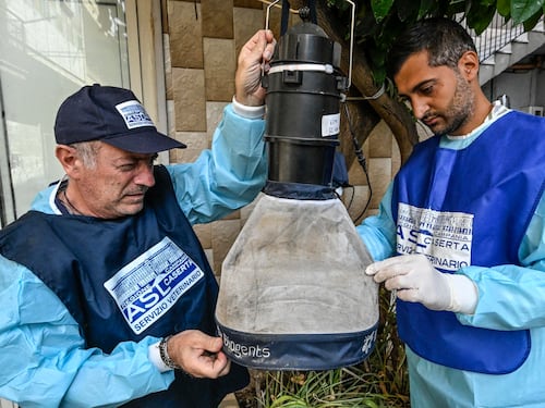 West Nile, i morti sono sette. E c'è il primo caso a Milano