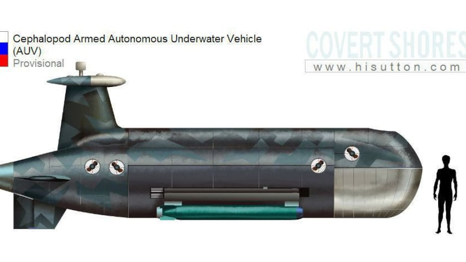 Il drone Cefalopode, il nuovo hunter killer della Russia